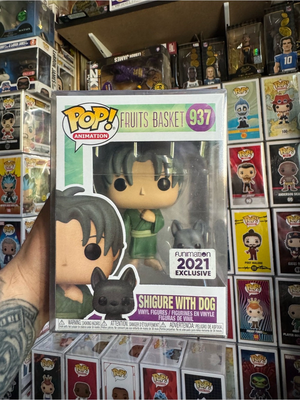 Funko Pop! Fruits Basket Shigure in Green with Black Dog
